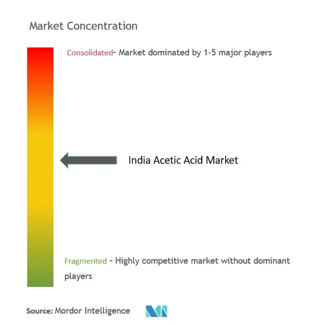 India Acetic Acid Market Concentration