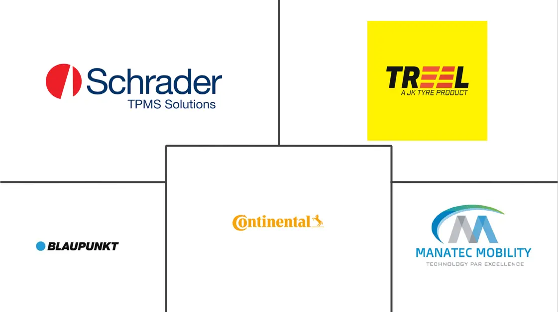 Major players in India Aftermarket TPMS industry