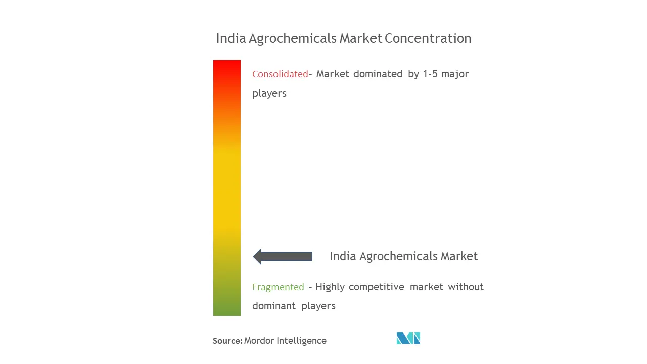 India Agrochemicals Market Concentration