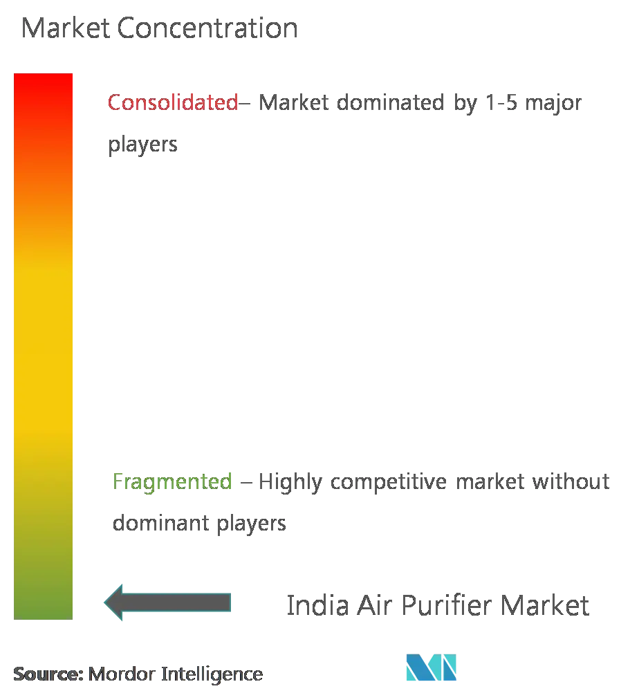 India Air Purifier Market Concentration