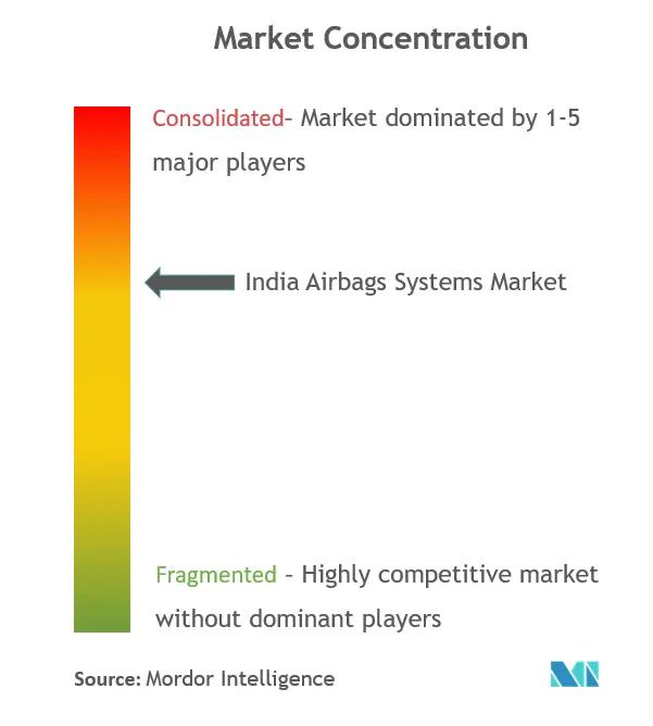 India Airbag Systems Market Concentration