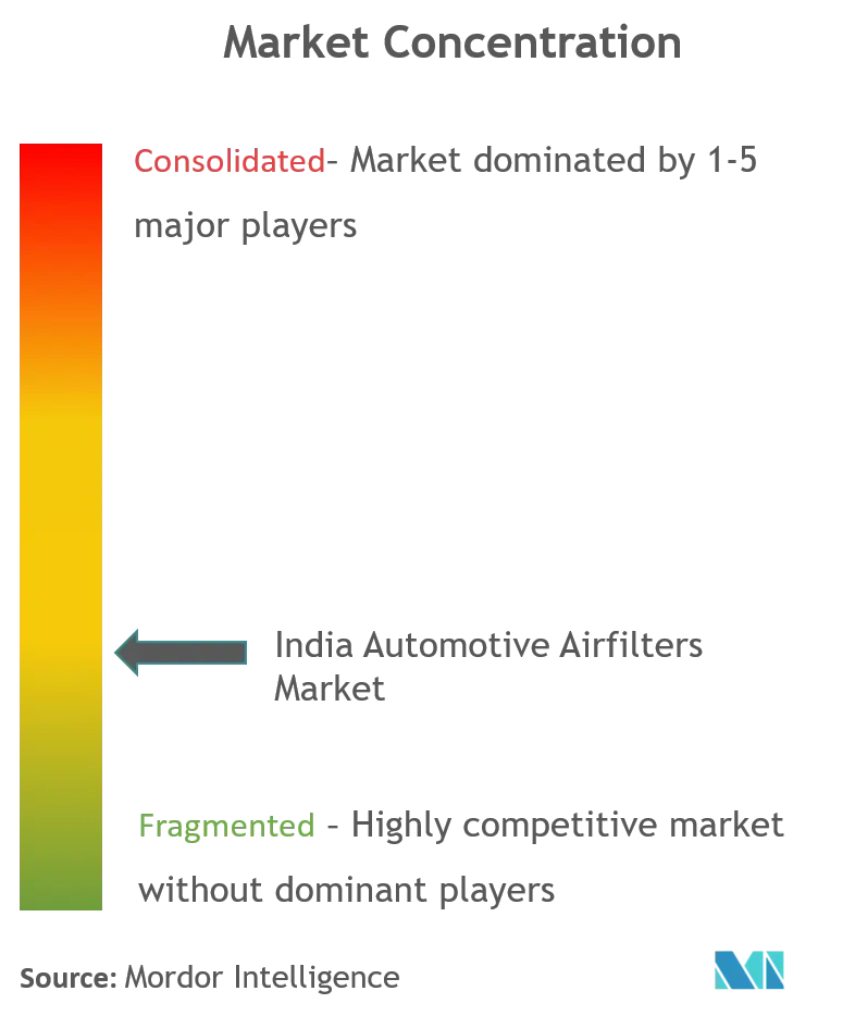 India Automotive Airfilters Market_Market Concentration.png