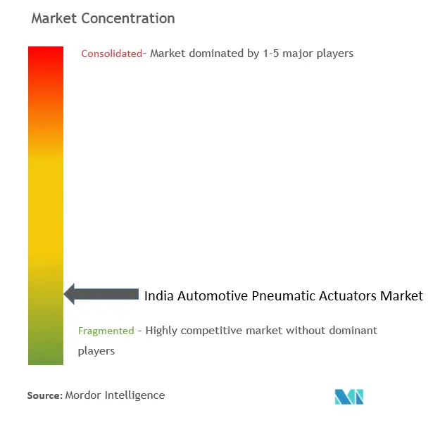 Concentración del mercado de actuadores neumáticos automotrices de la India