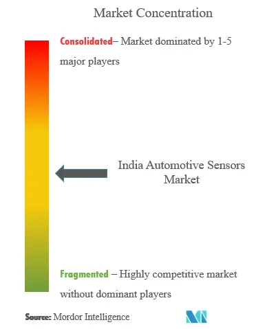 India Sensores automotricesConcentración del Mercado