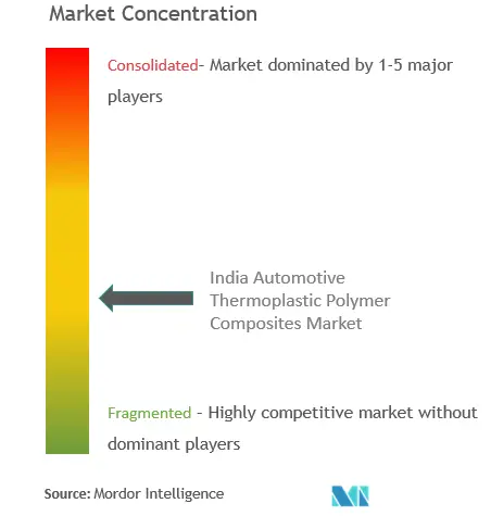 India Automotive Thermoplastic Polymer Composites Market Concentration