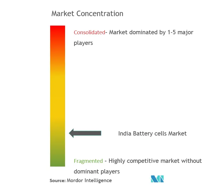 India Battery cell Market Concentration
