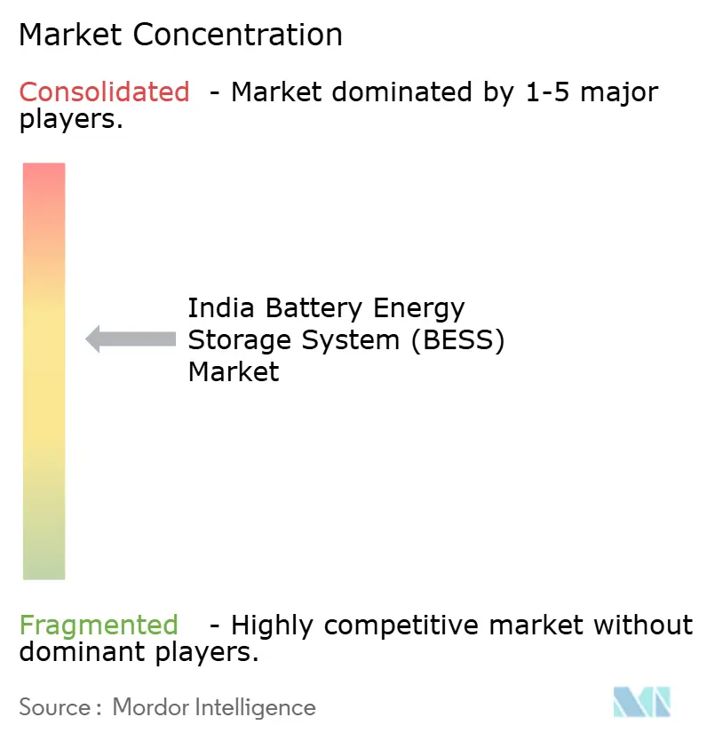 India Battery Energy Storage System (BESS) Market Concentration