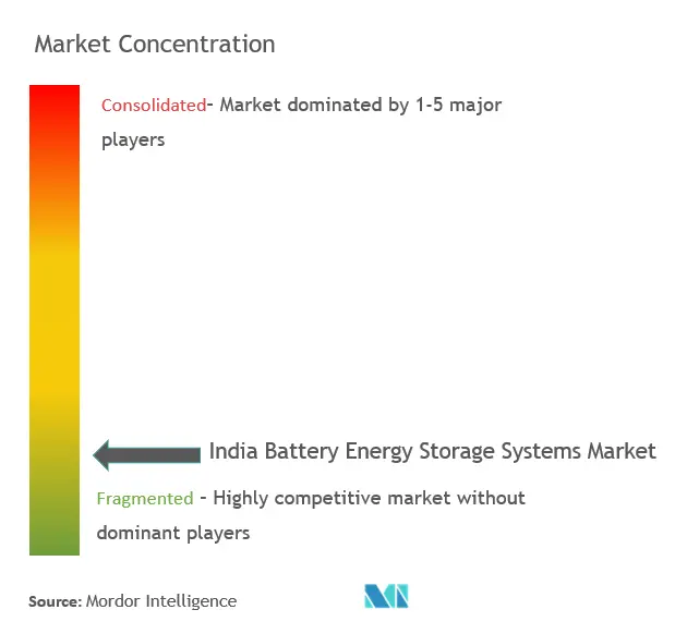 Concentración del mercado de sistemas de almacenamiento de energía en baterías de la India