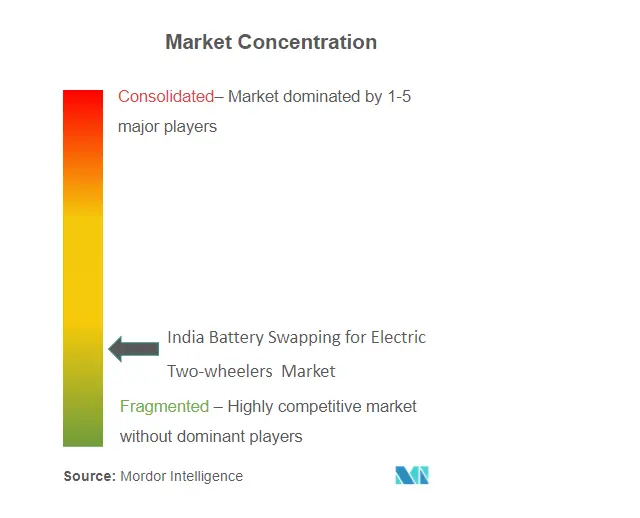 インド 電動二輪車のバッテリー交換市場集中度