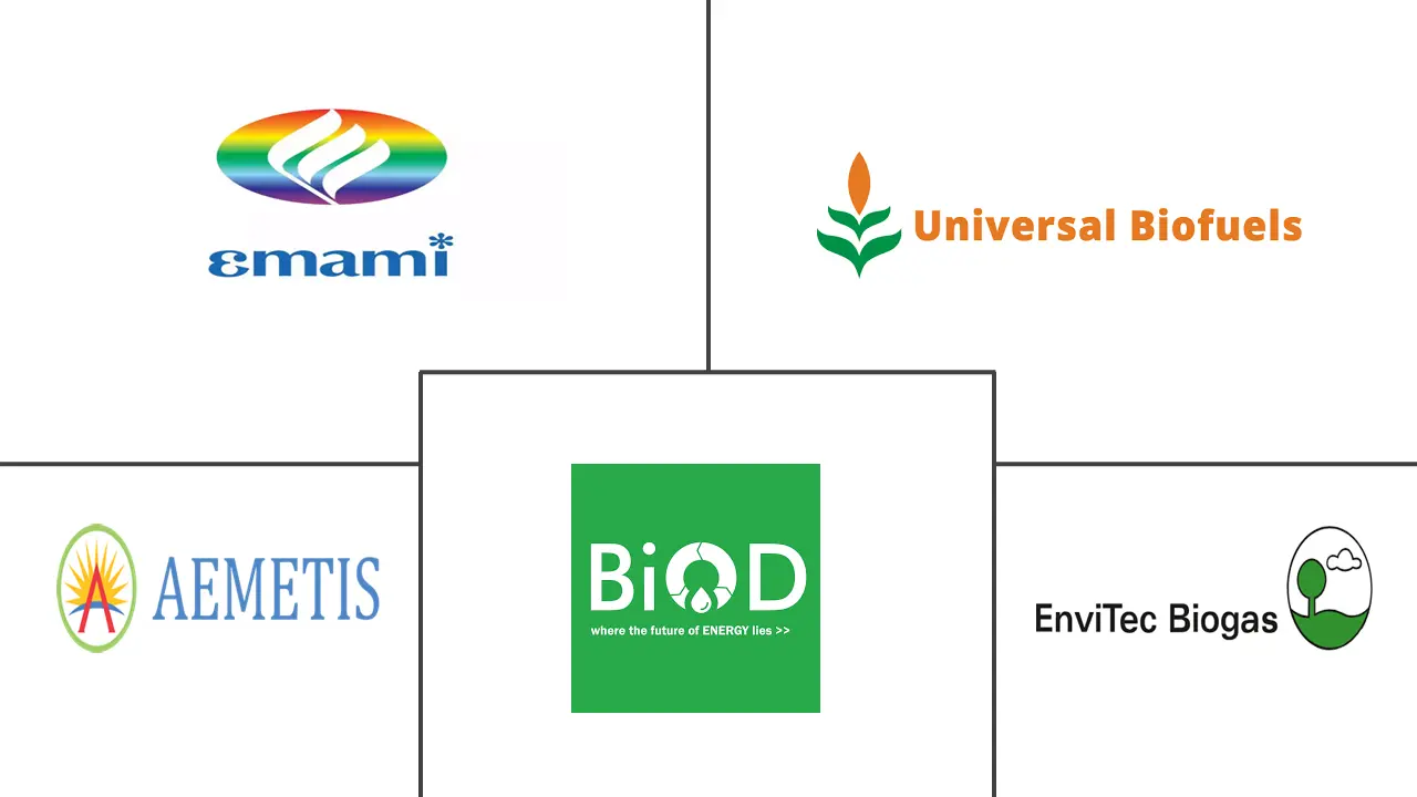 India Biomass Market Major Players