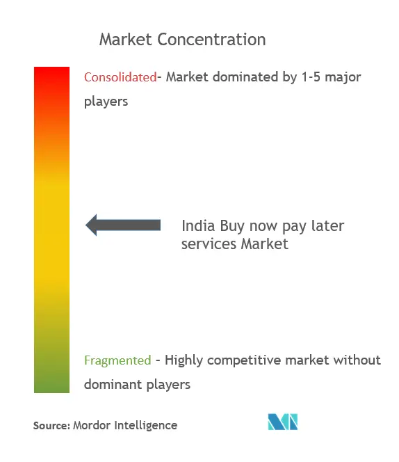 Indien Buy Now Pay Later Marktkonzentration für Dienstleistungen