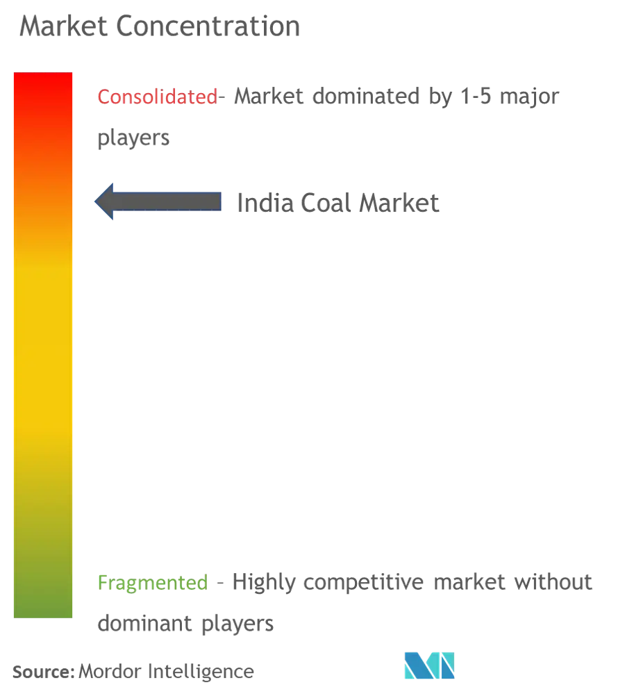 India Coal Market Concentration