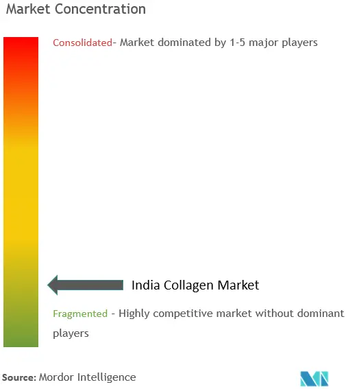 Inde CollagèneConcentration du marché
