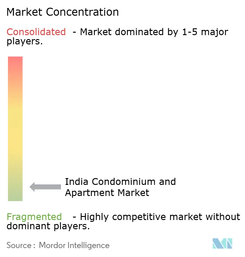 India Condominium and Apartment Market Concentration