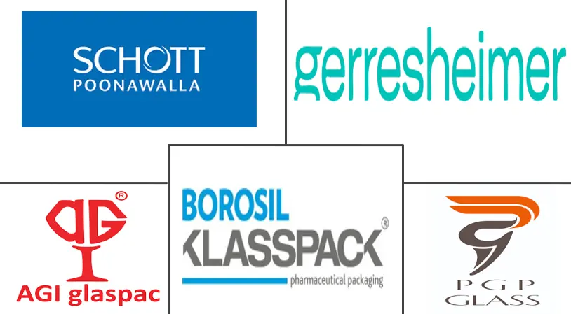 Principales actores del mercado de vidrio para envases de la India