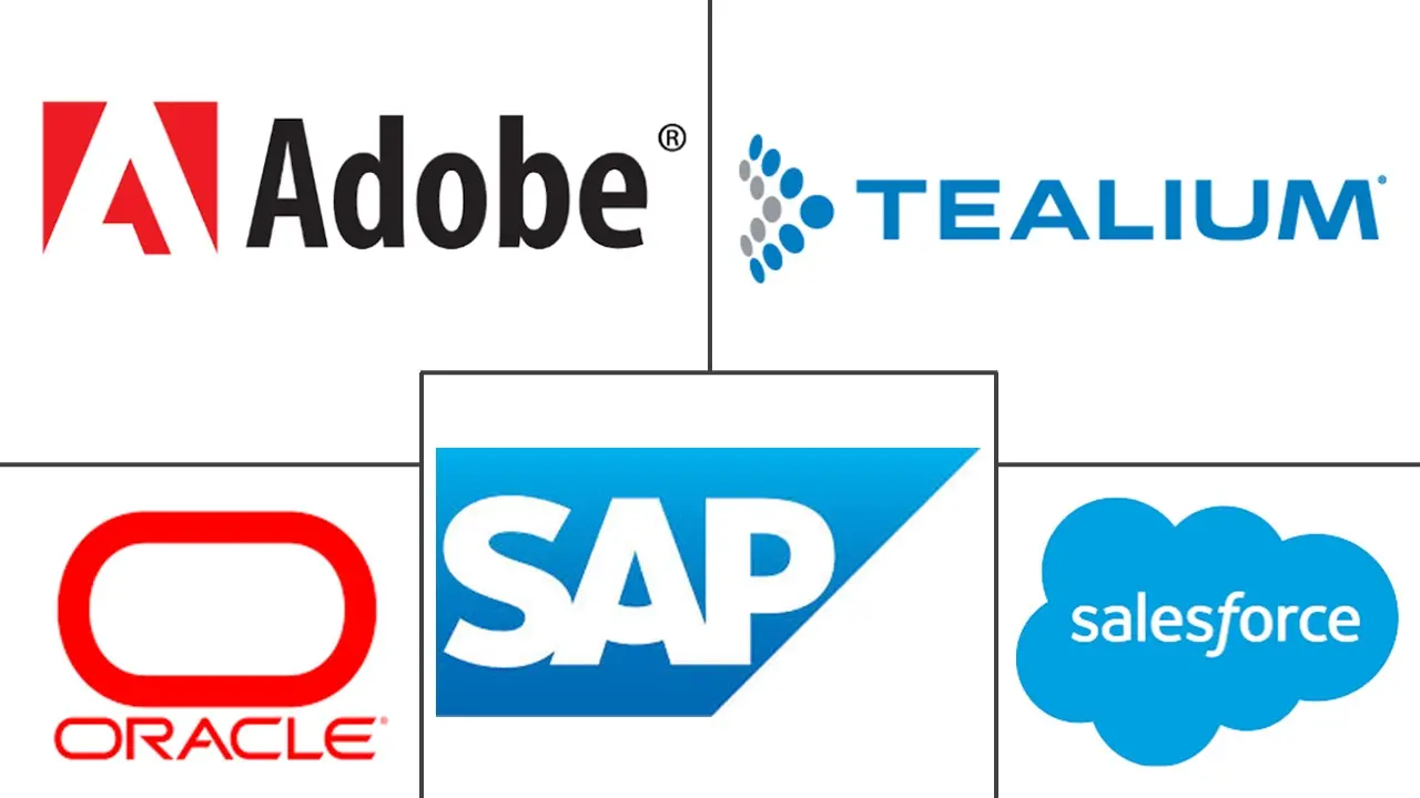 Hauptakteure in Indischer Customer-Data-Platform-Markt Branche