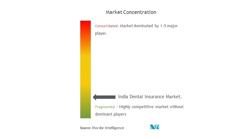 India Dental Insurance Market Concentration