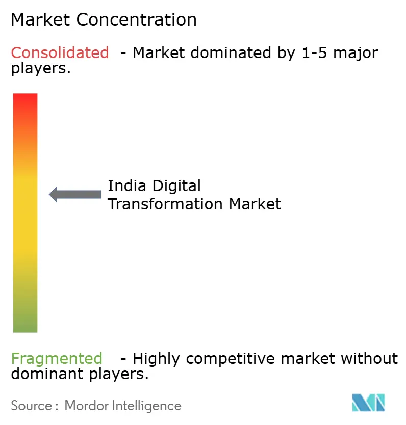 India Digital Transformation Market Concentration