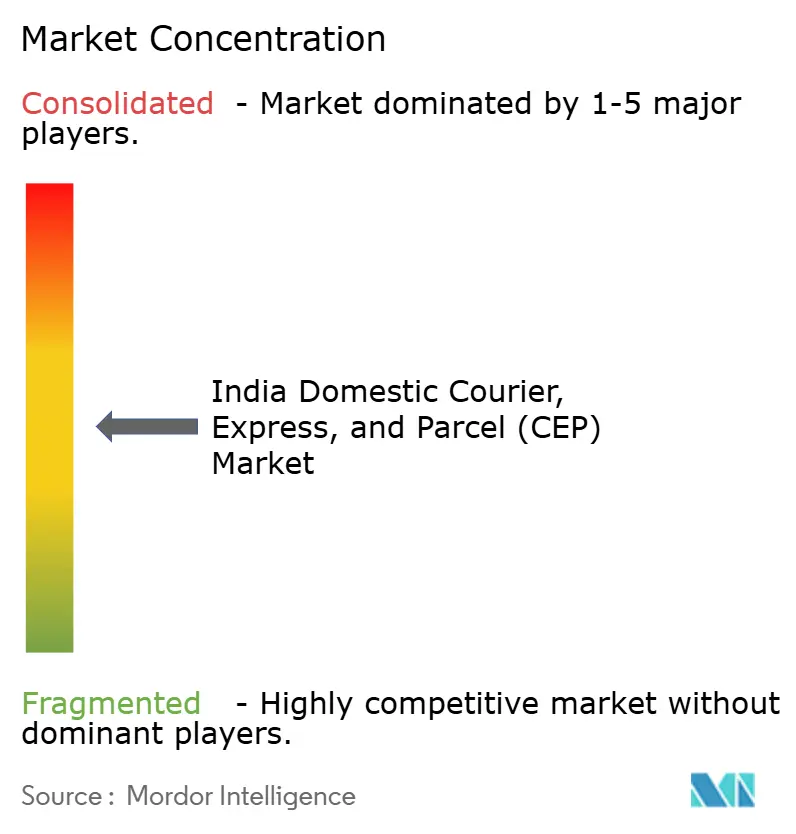 India Domestic Courier, Express, and Parcel (CEP) Market Concentration