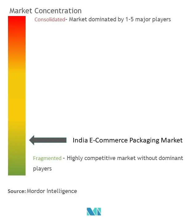 Panorama competitivo del mercado de embalaje de comercio electrónico de la India1.jpg