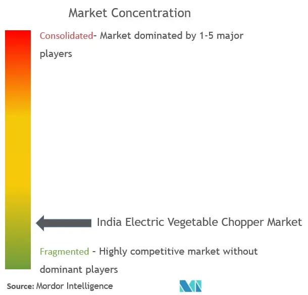 India Electric Vegetable Choppers Market Concentration