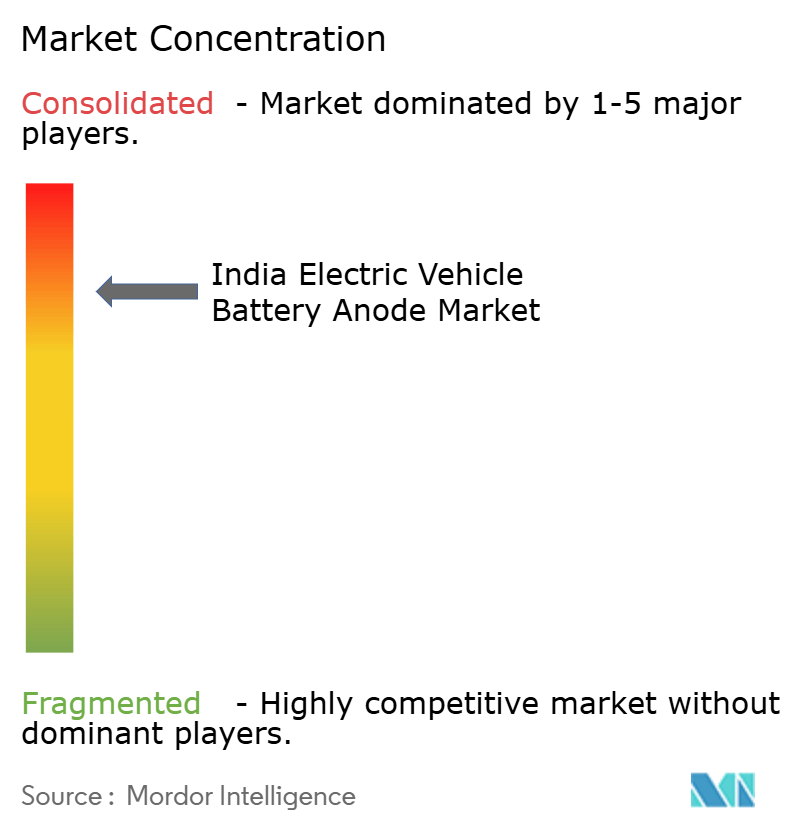 India Electric Vehicle Battery Anode Market Concentration