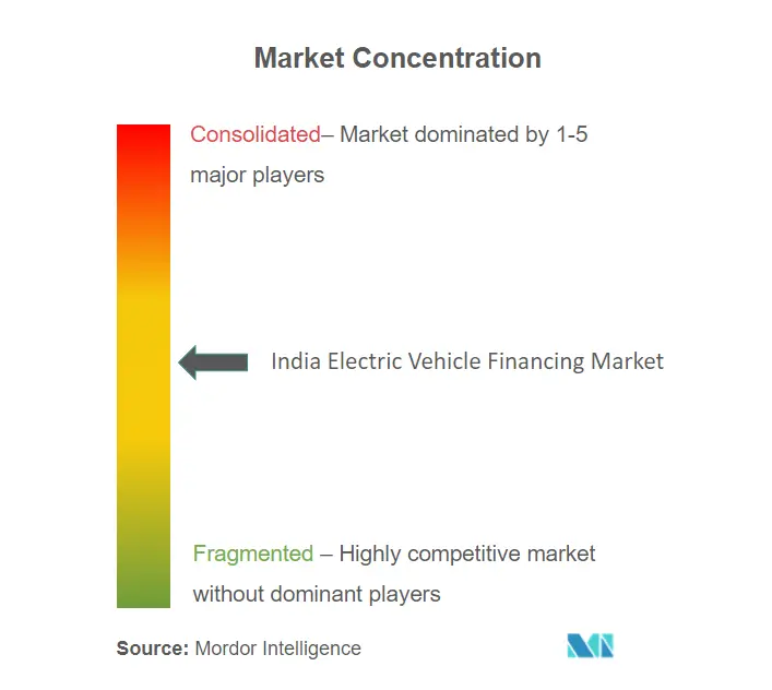 インドの電気自動車への融資市場集中度