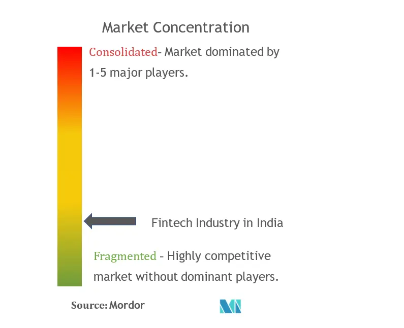 India Fintech Market Concentration