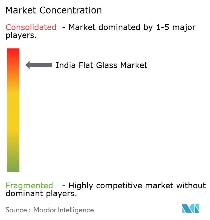 India Flat Glass Market - Market Concentration