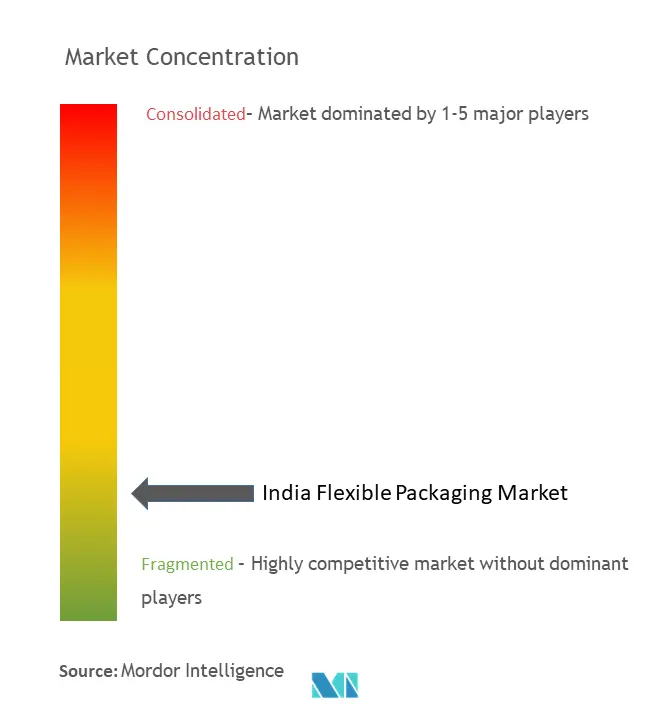 India Flexible Packaging Market Concentration