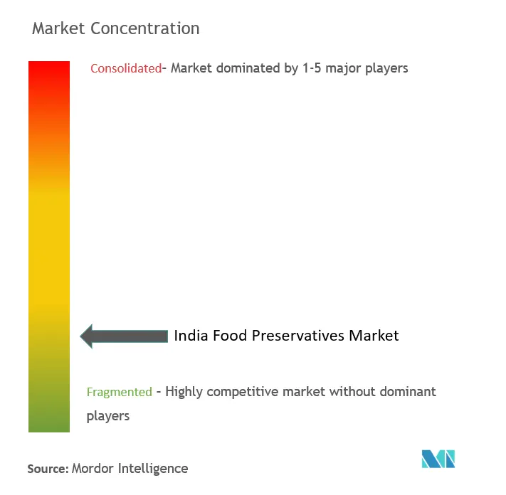 Marktkonzentration für Lebensmittelkonservierungsstoffe in Indien
