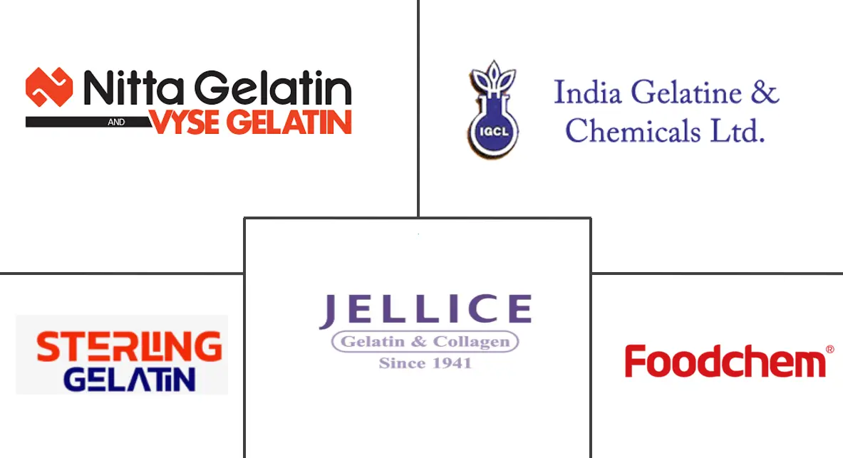 India Gelatin Market Key Players India Gelatin Market Major Players