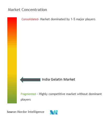 Marktkonzentration für Gelatine in Indien