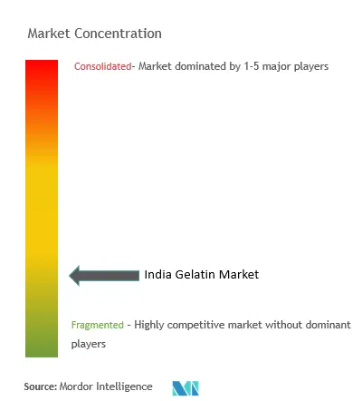 Gelatina IndiaConcentración del Mercado
