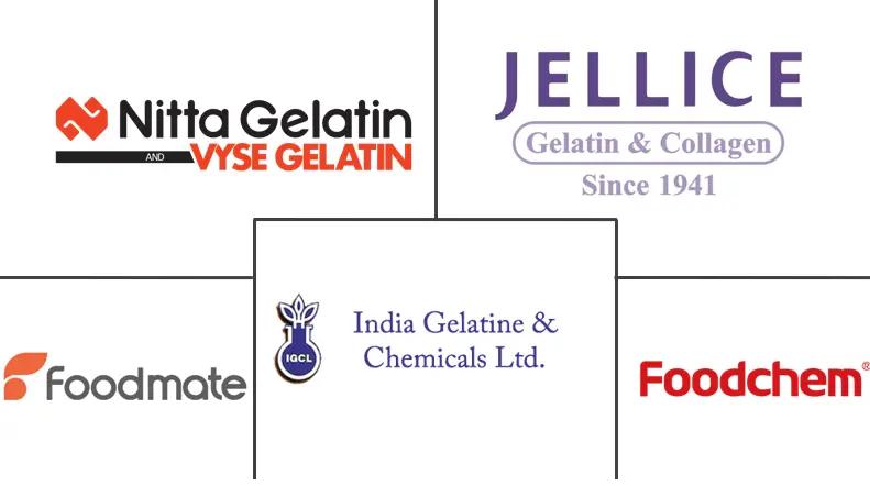 Principales actores del mercado de gelatina de la India