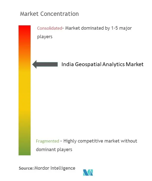 インドの地理空間分析市場集中度
