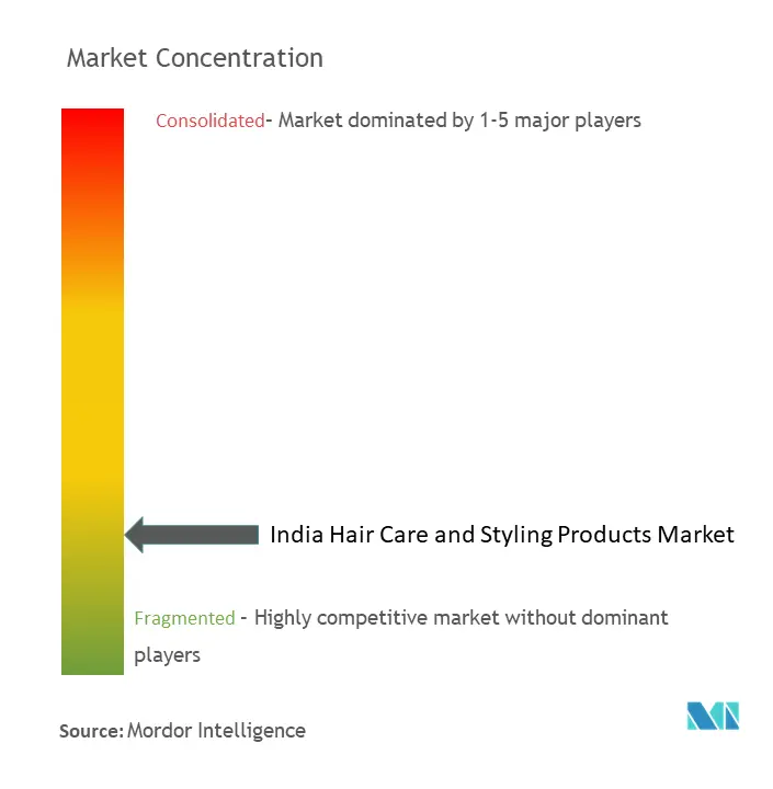 Concentration du marché des produits de soins capillaires et de coiffage en Inde