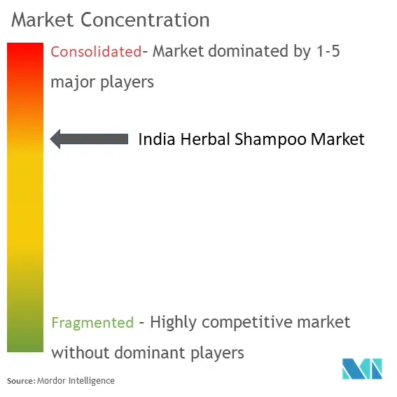 India Herbal Shampoo Market Concentration