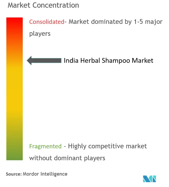 Champú a base de hierbas de la IndiaConcentración del Mercado