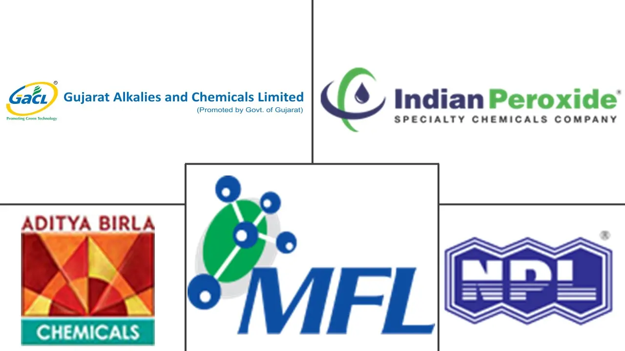 India Hydrogen Peroxide Market Major Players
