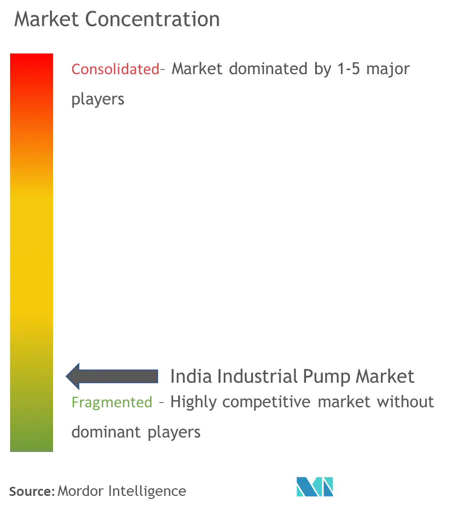 India Industrial Pump Market Concentration