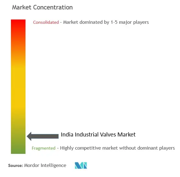 India Industrial Valves Market Concentration