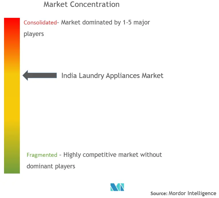 Marktkonzentration für Wäschereigeräte in Indien