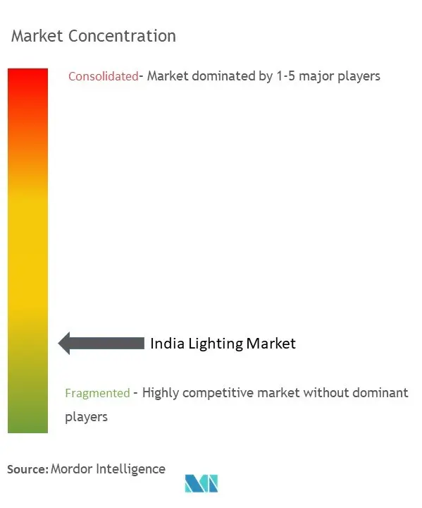 India Lighting Market Concentration
