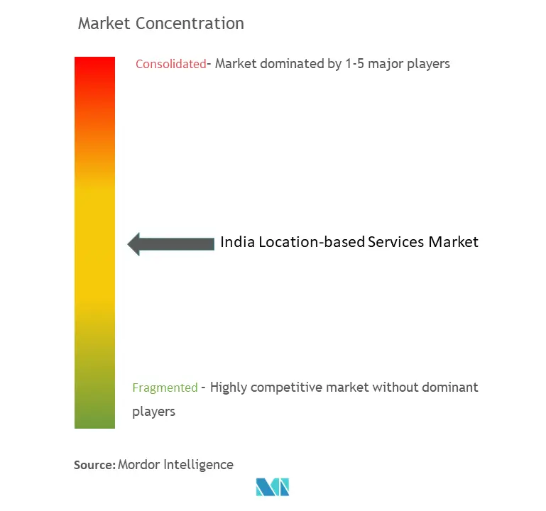 India Location-based Services Market Concentration