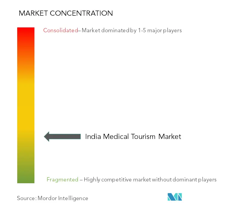 インド医療ツーリズム市場の集中度