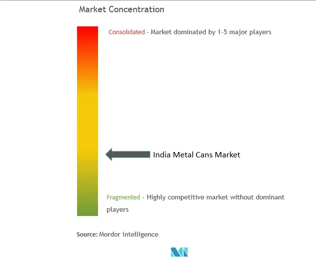 India Metal Cans Market Concentration