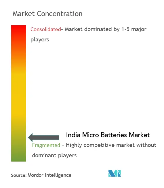 India Micro Batteries Market Concentration