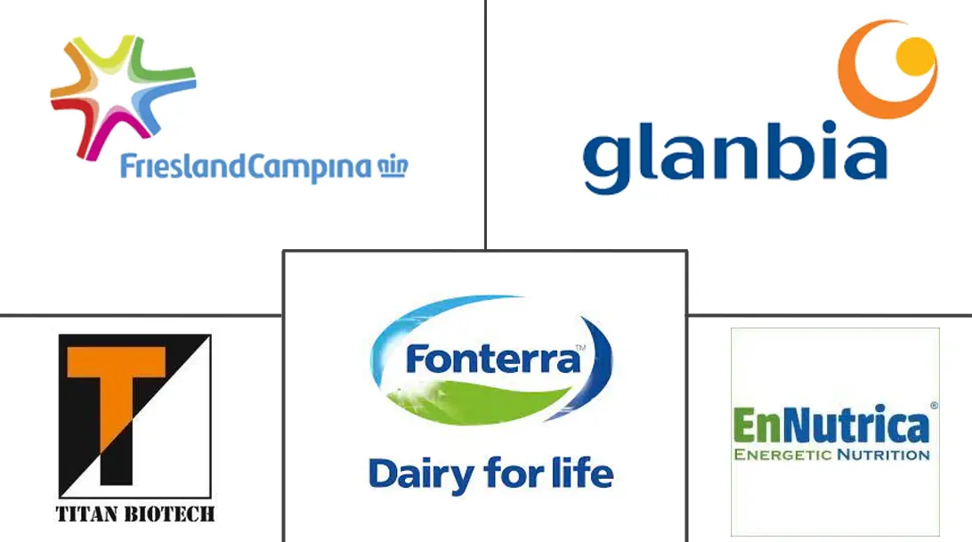 インドの乳タンパク質市場の主要企業
