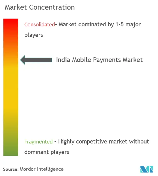 India Payments Market - Market Concentration.png